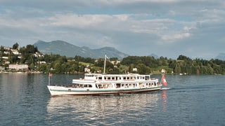 Sinerzyt