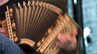 Sinerzyt
