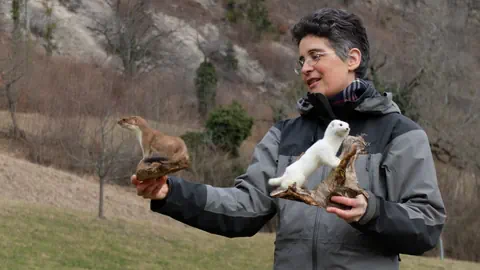 Frau hält ausgestopfte Wiesel in den Händen.