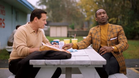«Green Book» ist der beste Film des Jahres (Artikel enthält Video)