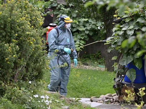 Person in Schutzanzug besprüht Pflanzen im Garten.