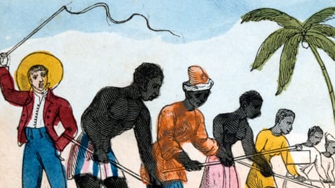 400 Jahren Sklaverei - Wie die Weissen weiss wurden - Kultur - SRF