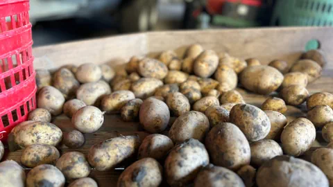 Kartoffeln auf einem Tisch