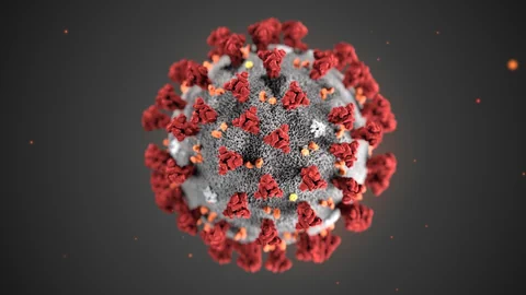 Darstellung des Sars-CoV-2-Virus.