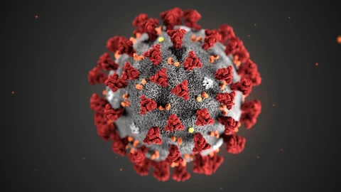 Modell des Coronavirus.
