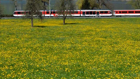 Eine Komposition der Zentralbahn auf der Brünigstrecke.