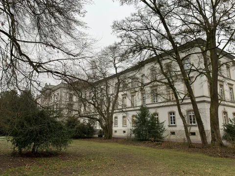 Altes Gebäude hinter kahlen Bäumen an einem trüben Tag.