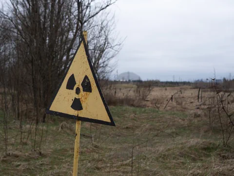 Warnschild mit Strahlungssymbol in einer Landschaft mit kahlen Bäumen und Gras.