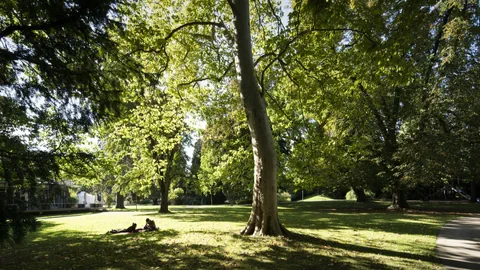 Kurpark Baden