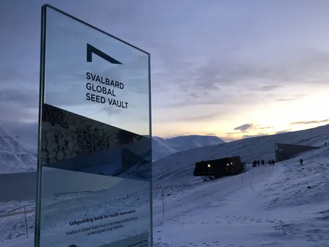 Plakat, Bunkereingang und Schneelandschaft.