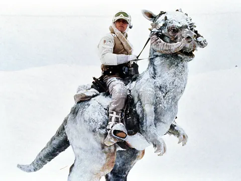 Mann sitzt auf futuristischem Reittier