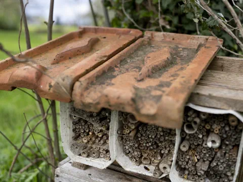 Dachziegel über Insektenhotel im Garten.