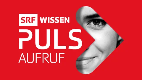 Puls-Logo