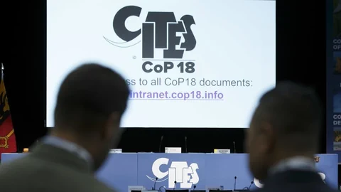 Leinwand hinter Podium an Cites-Konferenz