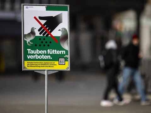 Taubenfütterungs-Verbotsschild