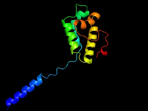 Eine 3D-Darstellung einer Proteinstruktur in Regenbogenfarben.