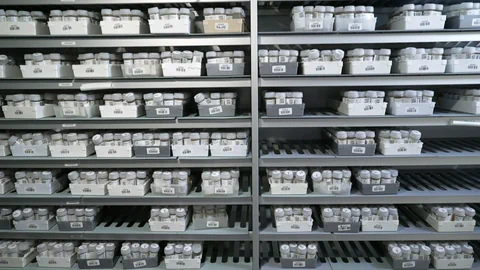 Blick auf Lagerregale