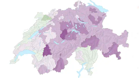 Schweizerkarte mit Bezirksgrenzen.