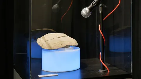 Fossil auf leuchtendem Sockel mit Mikrofon.