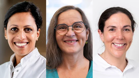 Die Fachrunde des PULS-Chats.