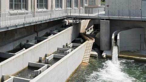 Die Lorze. Für die Biber eine Holztreppfe, für die Fische ein Bauwerk in Beton.