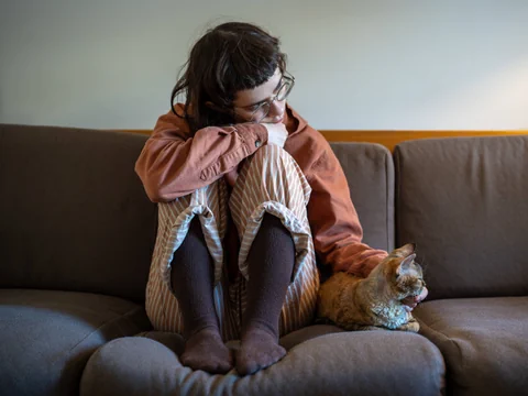 Person sitzt auf Sofa und streichelt eine Katze.