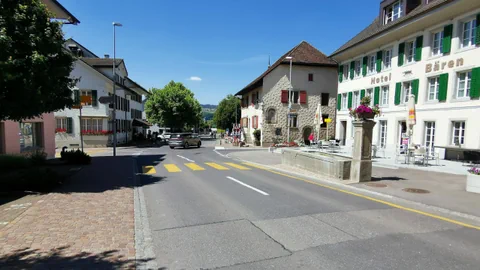 Strasse in Seengen