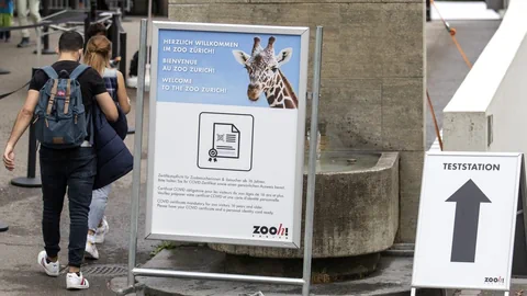 Zooeingang