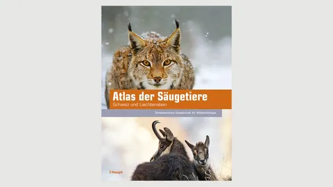 Buchcover mit Tieren drauf
