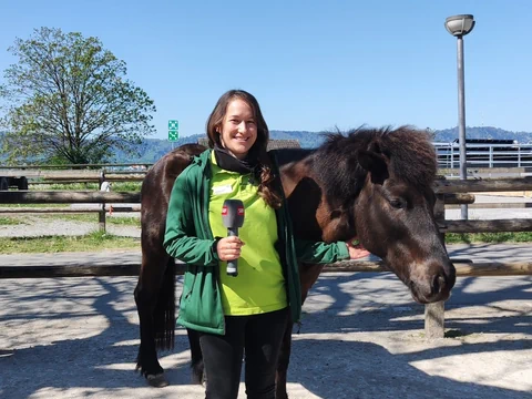 Frau mit Therapiepferd: Islandpony.
