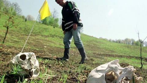 Überreste der ermordeten Muslime in Srebrenica.