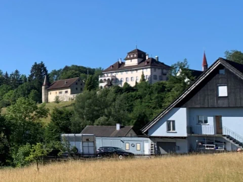 Schloss auf Hügel mit umliegenden Häusern und grünen Bäumen.