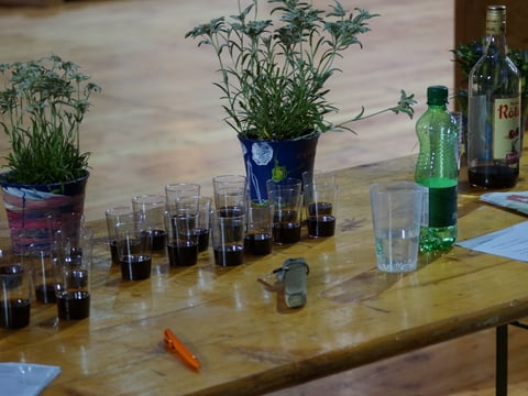 Keine silvesterparty für den hcd Jodlerfest Davos - Jodlerfest Davos: Impressionen vom Samstag - Radio