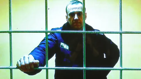 Nawalny hinter Gefängnisgittern