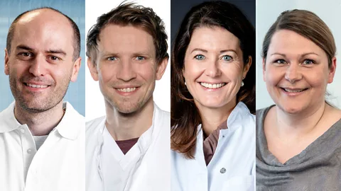 Die Fachrunde des PULS-Chats