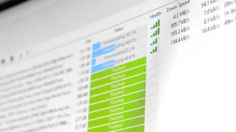 Ein Computerbildschirm zeigt den Download-Status verschiedener Dateien