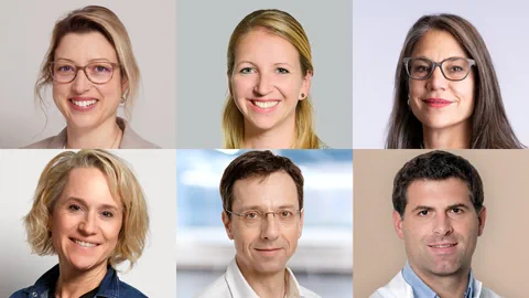 Sechs Porträtfotos von Menschen in zwei Reihen.