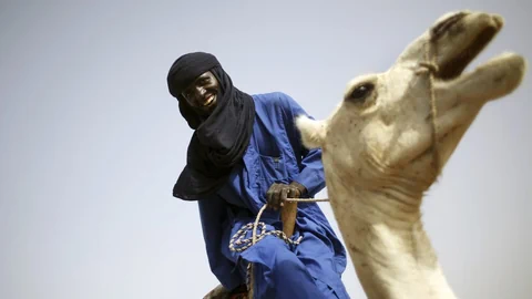 Ein Tuareg in einem blauen Kleid auf einem Kamel, das zu lachen scheint.