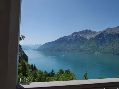 Hotel Director & Environmentalist: Vera Weber Makes Waves Hotel Director & Environmentalist: Vera Weber Makes Waves