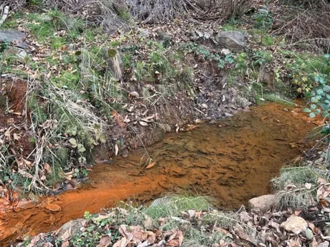 Kleiner Bach mit rostfarbenem Wasser im Wald.
