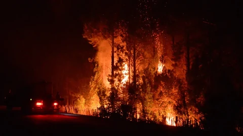 Waldbrand bei Nacht mit Feuerwehrautos im Hintergrund.