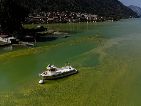 Boot auf einem von Algen bedeckten See mit Häusern am Ufer.