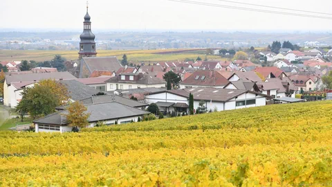 Kallstadt in Deutschland