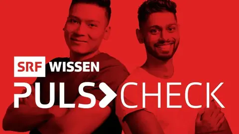 Logo der Sendung «Puls Check»