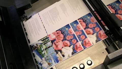 Geissbock Charly im Offsetdruck. 