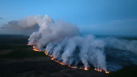 Waldbrand, Luftaufnahme.