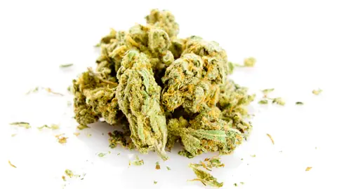 Zu sehen ist die getrocknete Blüte, Marijuana.