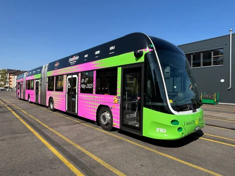 Grüner und pinker Linienbus auf einem Parkplatz.