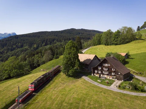 Zug fährt an einem Bauernhaus in hügeliger Landschaft vorbei.