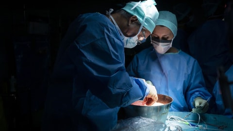 Die Änderung des Transplantationsgesetzes in Kürze Die Änderung des Transplantationsgesetzes in Kürze